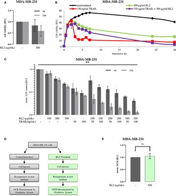 Interplay Between Mitophagy and Apoptosis Defines a Cell Fate Upon Co-treatment of Breast Cancer Cells With a Recombinant Fragment of Human κ-Casein and Tumor Necrosis Factor-Related Apoptosis-Inducing Ligand